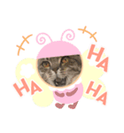 コトちゃん8（個別スタンプ：6）