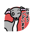 【ブルー4】1年中使えるイタグレのスタンプ（個別スタンプ：1）
