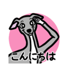 【ブルー4】1年中使えるイタグレのスタンプ（個別スタンプ：2）