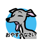 【ブルー4】1年中使えるイタグレのスタンプ（個別スタンプ：4）