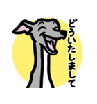 【ブルー4】1年中使えるイタグレのスタンプ（個別スタンプ：6）