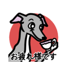 【ブルー4】1年中使えるイタグレのスタンプ（個別スタンプ：8）