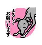 【ブルー4】1年中使えるイタグレのスタンプ（個別スタンプ：9）