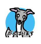 【ブルー4】1年中使えるイタグレのスタンプ（個別スタンプ：11）