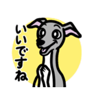 【ブルー4】1年中使えるイタグレのスタンプ（個別スタンプ：13）