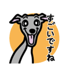 【ブルー4】1年中使えるイタグレのスタンプ（個別スタンプ：14）