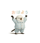 動物でおはよう（個別スタンプ：13）