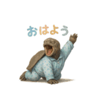 動物でおはよう（個別スタンプ：31）
