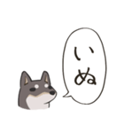 頭からっぽ犬（個別スタンプ：13）