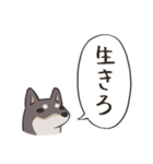 頭からっぽ犬（個別スタンプ：23）