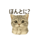 ぼくマンチカン！猫の挨拶バージョン（個別スタンプ：7）