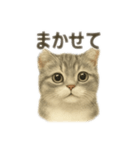 ぼくマンチカン！猫の挨拶バージョン（個別スタンプ：8）