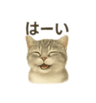 ぼくマンチカン！猫の挨拶バージョン（個別スタンプ：9）