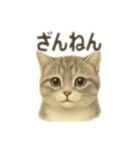 ぼくマンチカン！猫の挨拶バージョン（個別スタンプ：14）