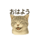 ぼくマンチカン！猫の挨拶バージョン（個別スタンプ：15）