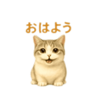 ぼく。マンチカン！猫挨拶バージョン（個別スタンプ：1）