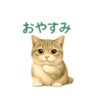 ぼく。マンチカン！猫挨拶バージョン（個別スタンプ：2）