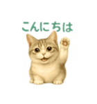 ぼく。マンチカン！猫挨拶バージョン（個別スタンプ：4）
