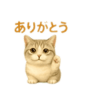 ぼく。マンチカン！猫挨拶バージョン（個別スタンプ：5）