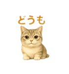 ぼく。マンチカン！猫挨拶バージョン（個別スタンプ：7）