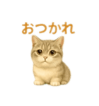 ぼく。マンチカン！猫挨拶バージョン（個別スタンプ：9）
