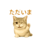 ぼく。マンチカン！猫挨拶バージョン（個別スタンプ：11）