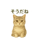 ぼく。マンチカン！猫挨拶バージョン（個別スタンプ：13）