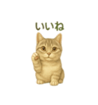ぼく。マンチカン！猫挨拶バージョン（個別スタンプ：14）