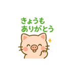 おぶーにゃの毎日ほっこりスタンプ（個別スタンプ：38）