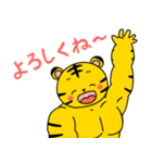 ムキムキのとら（個別スタンプ：4）