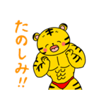 ムキムキのとら（個別スタンプ：11）