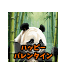 毎日使うクセ強アニマルあいさつ・短文（個別スタンプ：32）