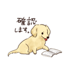 これはダックスフンドです。(クリーム)（個別スタンプ：6）