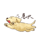 これはダックスフンドです。(クリーム)（個別スタンプ：14）