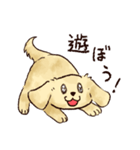 これはダックスフンドです。(クリーム)（個別スタンプ：16）