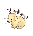 これはダックスフンドです。(クリーム)（個別スタンプ：20）