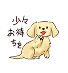 これはダックスフンドです。(クリーム)（個別スタンプ：23）