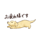 これはダックスフンドです。(クリーム)（個別スタンプ：26）
