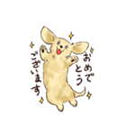 これはダックスフンドです。(クリーム)（個別スタンプ：27）