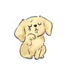 これはダックスフンドです。(クリーム)（個別スタンプ：29）