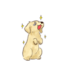 これはダックスフンドです。(クリーム)（個別スタンプ：30）
