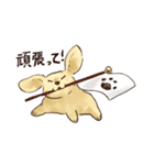 これはダックスフンドです。(クリーム)（個別スタンプ：34）