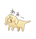 これはダックスフンドです。(クリーム)（個別スタンプ：39）
