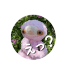 ナマケモノでもいいじゃない（個別スタンプ：4）