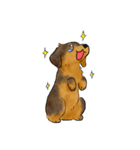 これはダックスフンドです。(黒)（個別スタンプ：30）