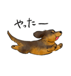 これはダックスフンドです。(黒)（個別スタンプ：32）