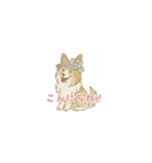 ゆるっとシェルティ（個別スタンプ：4）