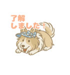 ゆるっとシェルティ（個別スタンプ：5）