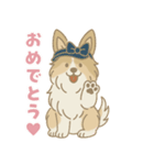 ゆるっとシェルティ（個別スタンプ：11）