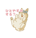 ゆるっとシェルティ（個別スタンプ：12）